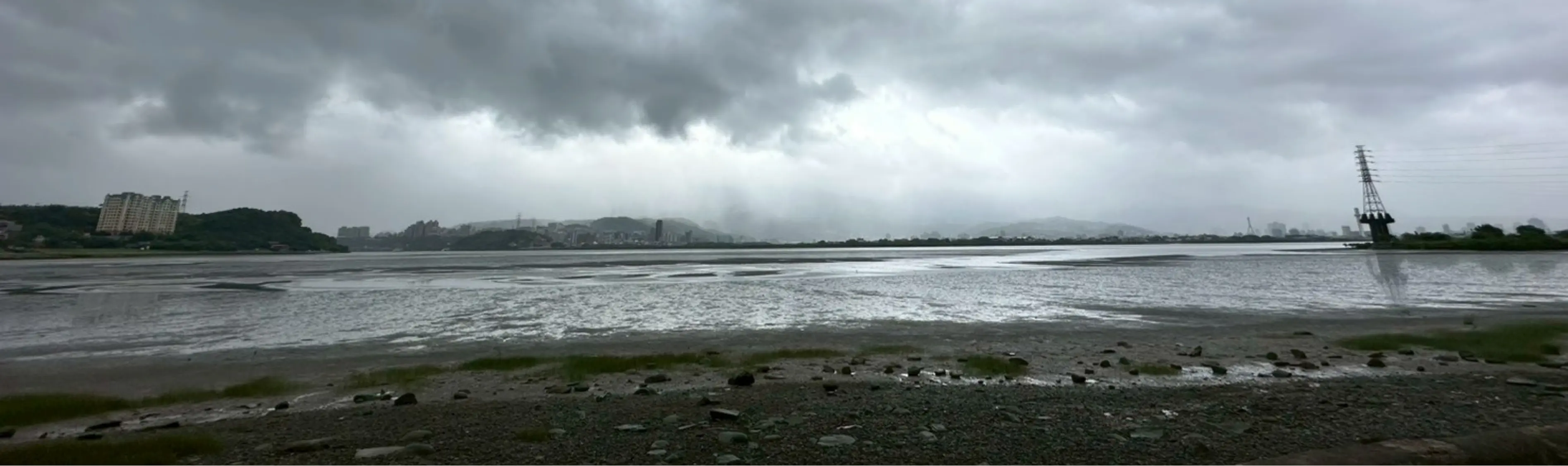五股濕地空景——廣闊蘆葦叢與水面在晨光中延伸