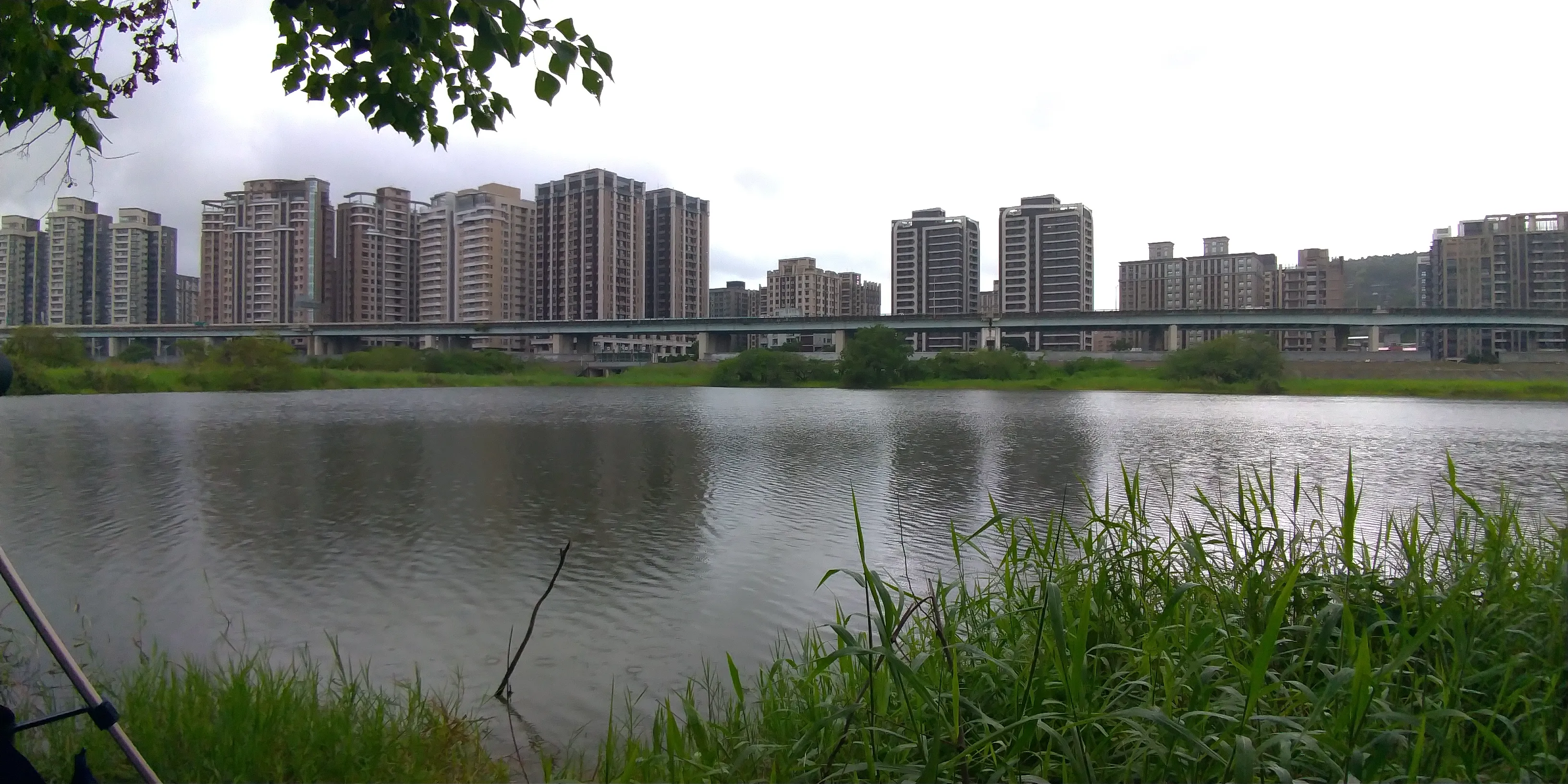 五股濕地的「水域」